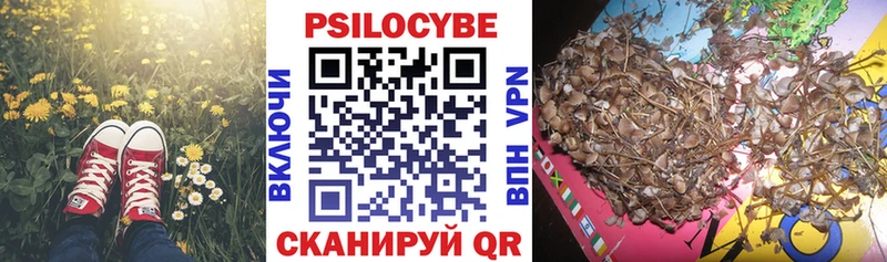 Псилоцибиновые грибы MAGIC MUSHROOMS  Горячий Ключ 